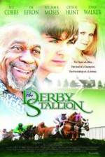 Watch The Derby Stallion Movie4k