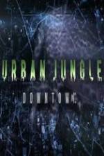 Watch National Geographic Wild Urban Jungle Downtown Movie4k