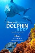 Watch Dolphin Reef Movie4k