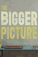 Watch The Bigger Picture Movie4k