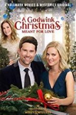 Watch A Godwink Christmas: Meant for Love Movie4k