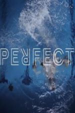 Watch Perfect Movie4k