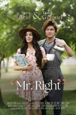 Watch Mr. Right Movie4k