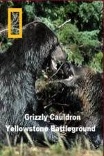 Watch National Geographic Grizzly Cauldron Movie4k