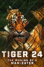 Watch Tiger 24 Movie4k