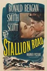 Watch Stallion Road Movie4k