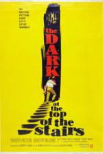 Watch The Dark at the Top of the Stairs Movie4k