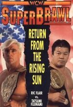 Watch WCW SuperBrawl I Movie4k