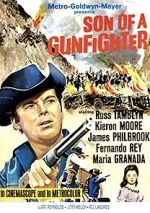 Watch Son of a Gunfighter Movie4k