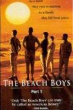 Watch The Beach Boys An American Family Movie4k