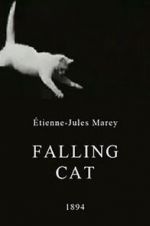 Watch Falling Cat Movie4k