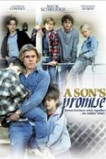 Watch A Son's Promise Movie4k