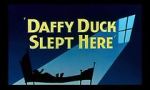 Watch Daffy Duck Slept Here (Short 1948) Movie4k