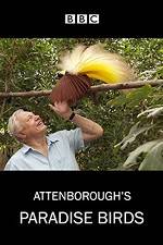 Watch Attenborough's Paradise Birds Movie4k