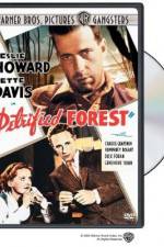 Watch The Petrified Forest Movie4k