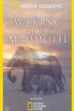 Watch Waking the Baby Mammoth Movie4k