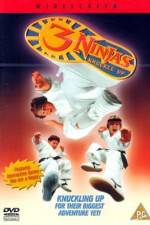 Watch 3 Ninjas Knuckle Up Movie4k