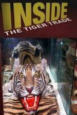 Watch Inside: The Tiger Trade Movie4k