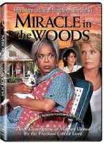 Watch Miracle in the Woods Movie4k