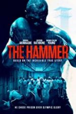 Watch The Hammer Movie4k