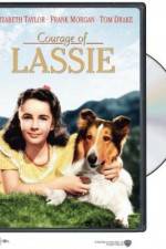 Watch Courage of Lassie Movie4k