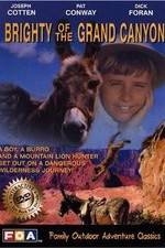 Watch Brighty of the Grand Canyon Movie4k