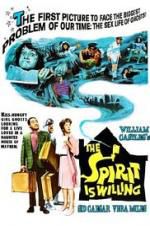 Watch The Spirit Is Willing Movie4k