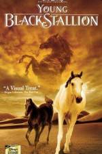 Watch The Young Black Stallion Movie4k