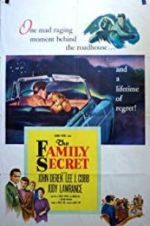 Watch The Family Secret Movie4k