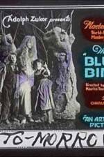 Watch The Blue Bird Movie4k
