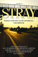 Watch Stray Movie4k