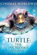 Watch Turtle The Incredible Journey Movie4k