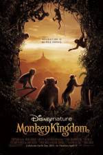 Watch Monkey Kingdom Movie4k