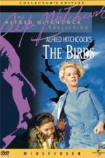 Watch The Birds Movie4k