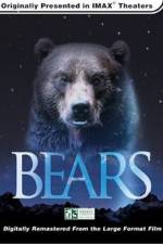 Watch Bears Movie4k