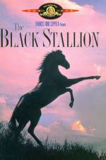 Watch The Black Stallion Movie4k