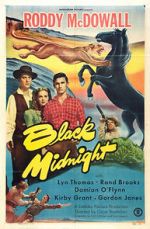 Watch Black Midnight Movie4k