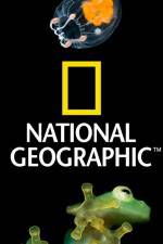 Watch National Geographic Wild Dam Beavers Movie4k