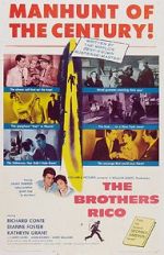 Watch The Brothers Rico Movie4k