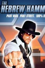 Watch The Hebrew Hammer Movie4k