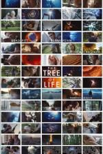 Watch The Tree of Life Movie4k