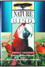 Watch PBS Nature - Extraordinary Birds Movie4k