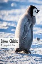 Watch Snow Chick: A Penguin's Tale Movie4k