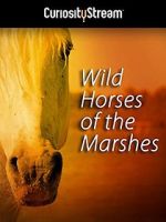 Watch Wild Horses of the Marshes Movie4k