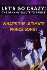 Watch Let\'s Go Crazy: The Grammy Salute to Prince Movie4k