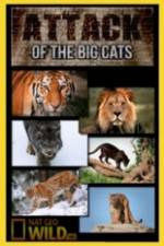 Watch National Geographic Attack Of The Big Cats Movie4k