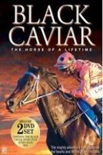 Watch Black Caviar The Races Movie4k