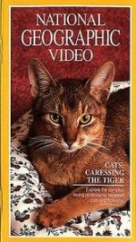 Watch Cats: Caressing the Tiger Movie4k