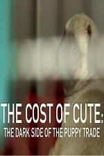 Watch The Cost of Cute: The Dark Side of the Puppy Trade Movie4k