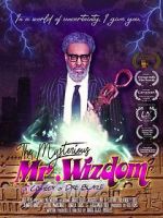 Watch The Mysterious Mr. Wizdom Movie4k